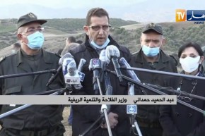 “وزير الفلاحة : “سنغرس أكثر من 300 ألف شجيرة في كل الولايات