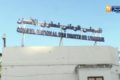 نقاش على المباشر: في اليوم الوطني للبلديات.. أين وصلت عصرنة القطاع ؟