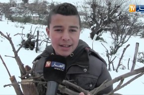 ميلة: الإحتطاب حل سكان تسدان حدادة لمواجه البرد