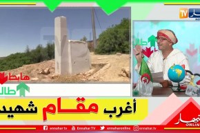 الشيخ النوي: أغرب مقام شهيد في العالم بسعيدة.. بدون تعليق