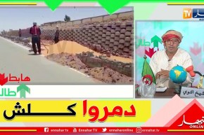 الشيخ النوي: مشروع سقي الأشجار بإليزي.. دمروا الرصيف على جال الأنابيب