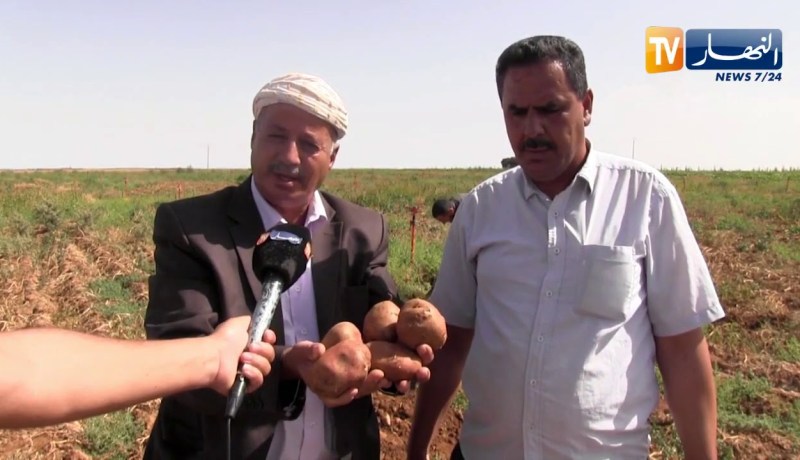 سعيدة : إهتراء الطرقات يحول دون تسوق مادتي البطاطا والبصل