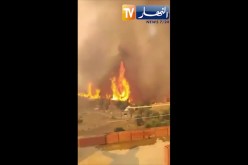 حرائق بغابات وحقول منطقة “بني جماتي” بـ”بني ورثلان” ولاية سطيف