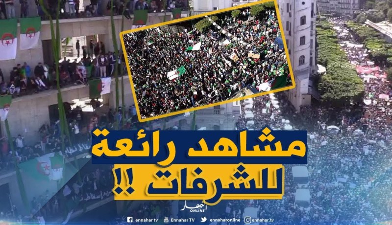 شاهد.. شرفات مزيّنة بأعلام الجزائر وكأنّها لوحة فنّية !!!