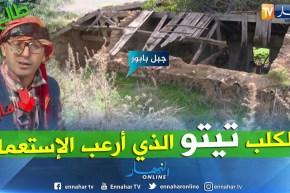 الشيخ النوي حصريا من جبال بني عزيز يأتي بشهادات حية لمجاهد وقصة الكلب تيتو قاهر الإستعمار