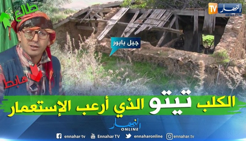 الشيخ النوي حصريا من جبال بني عزيز يأتي بشهادات حية لمجاهد وقصة الكلب تيتو قاهر الإستعمار