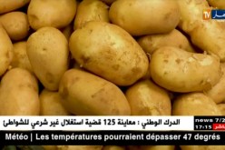 تجارة: إستقرار في أسعار الخضر والفواكه.. والبطاطا تصنع الإستثناء