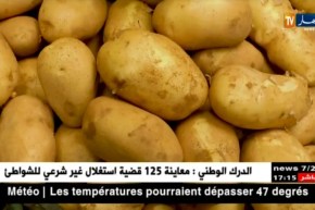 تجارة: إستقرار في أسعار الخضر والفواكه.. والبطاطا تصنع الإستثناء