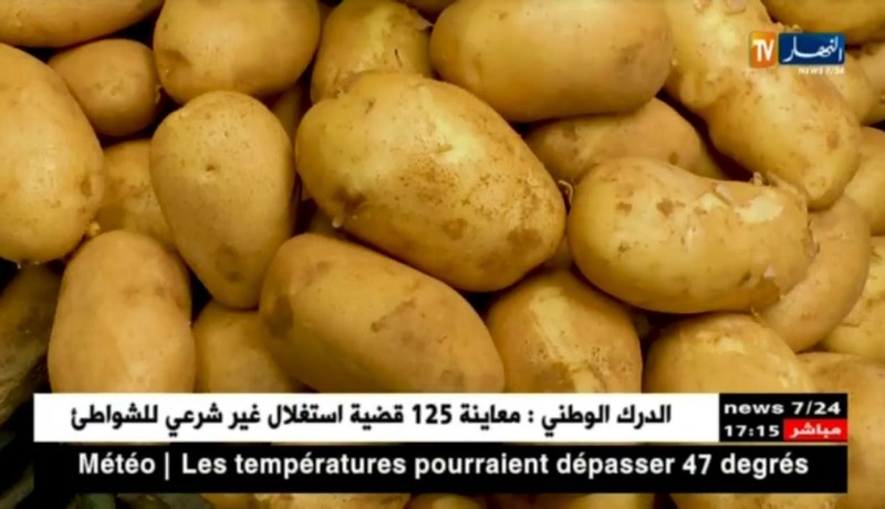 تجارة: إستقرار في أسعار الخضر والفواكه.. والبطاطا تصنع الإستثناء