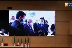 رئيس الجمهورية يؤكد على ضرورة محاربة البيروقراطية ورفع العراقيل لتمكين الشباب من تجسيد مؤسساتهم
