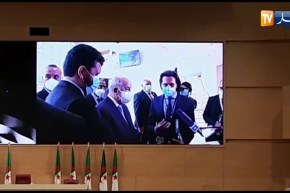 رئيس الجمهورية يؤكد على ضرورة محاربة البيروقراطية ورفع العراقيل لتمكين الشباب من تجسيد مؤسساتهم