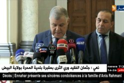 قيطوني: مجلس الوزراء صادق على مشاريع إستغلال الطاقات المتجددة