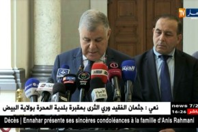 قيطوني: مجلس الوزراء صادق على مشاريع إستغلال الطاقات المتجددة