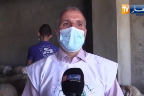 المدية: مغتربون يتبرعون بأضاحي العيد لجمعية كافل اليتيم