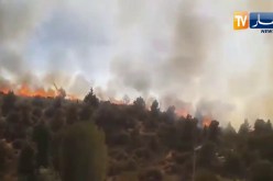 تيارت: شباب يتطوع ويشارك في عمليات إطفاء حريق بغابة رفقة اعوان الحماية