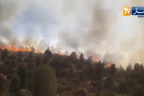 تيارت: شباب يتطوع ويشارك في عمليات إطفاء حريق بغابة رفقة اعوان الحماية