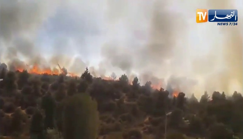 تيارت: شباب يتطوع ويشارك في عمليات إطفاء حريق بغابة رفقة اعوان الحماية