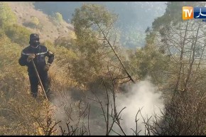 عين تموشنت: إندلاع حريق جديد بغابة ساسل ومصالح الحماية المدنية تسعى للسيطرة عليه