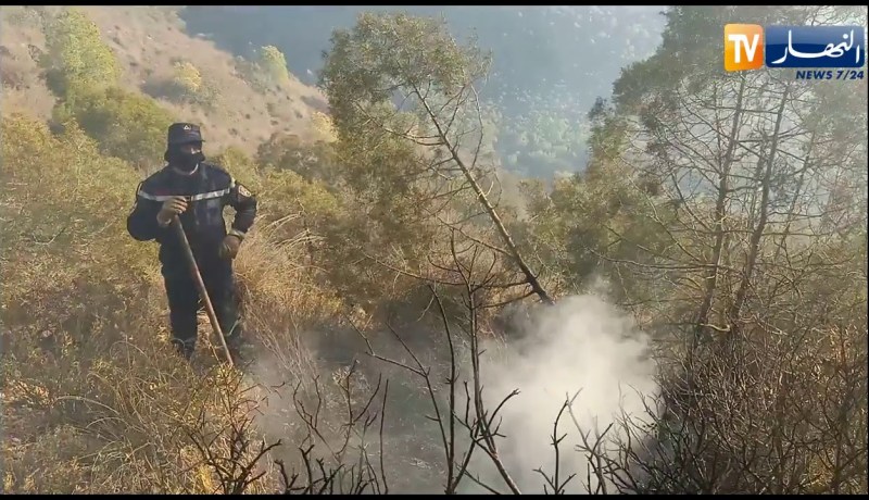 عين تموشنت: إندلاع حريق جديد بغابة ساسل ومصالح الحماية المدنية تسعى للسيطرة عليه