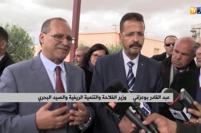 بوعزقي : “لابد من التشاور بين جميع الأطراف لإستغلال أفضل للنسب الموجودة بالولاية”