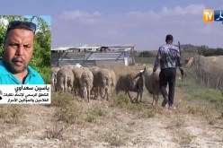 فلاحون وموالون شباب يتحركون لإنقاذ القطاع
