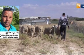 فلاحون وموالون شباب يتحركون لإنقاذ القطاع