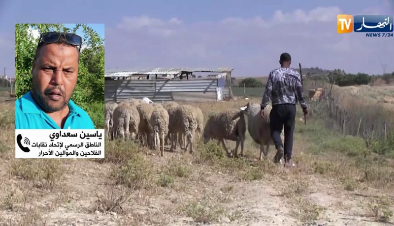 فلاحون وموالون شباب يتحركون لإنقاذ القطاع