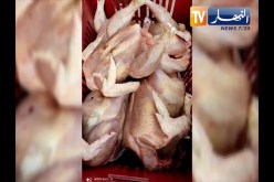 بجاية: الدرك الوطني يحجز 8 قناطير من الدجاج الفاسد بقرية ثوريرين بلدية أوزلاقن