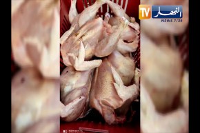 بجاية: الدرك الوطني يحجز 8 قناطير من الدجاج الفاسد بقرية ثوريرين بلدية أوزلاقن