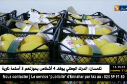 فلاحة/ المنتوج المحلي…البحث عن النوعية عوض الكمية للتصدي للإستيراد