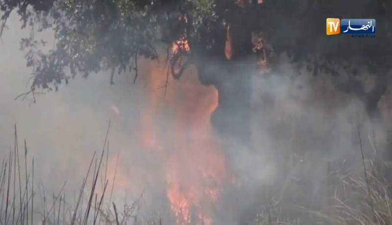 مصالح الحماية المدنية تسجل 46 حريقا عبر 19 ولاية