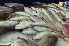 نقص الثروة السمكية والسبب النفايات الملقاة في البحر