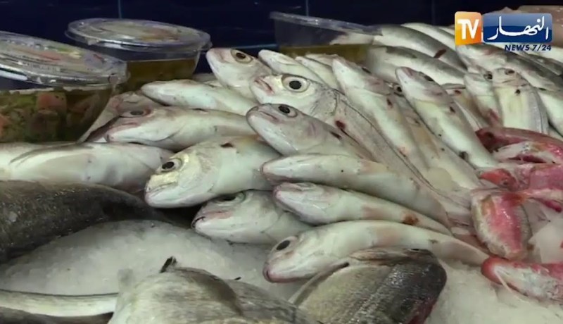 نقص الثروة السمكية والسبب النفايات الملقاة في البحر