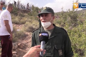 باتنة: التحكم في حريق غابة فيسديس بعد إتلاف قرابة 150 هكتار