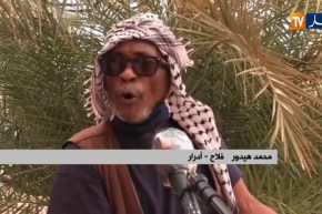 أدرار :  المياه المالحة تهدد ثروة النخيل والبساتين الفلاحية ببلدية بودة