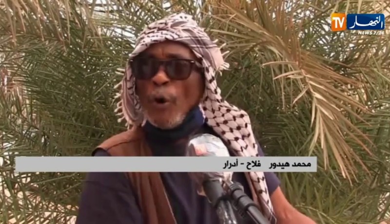 أدرار :  المياه المالحة تهدد ثروة النخيل والبساتين الفلاحية ببلدية بودة