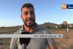 تبسة/ مستثمرة فلاحية ستتحول إلى خرسانة إسمنتية بحجة الإستثمار