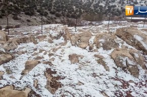 باتنة : جبال الأوراس تكتسي حالة بيضاء بعد تساقط بعض الثلوج