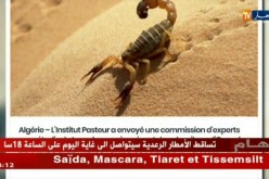 جولة في المواقع الإلكترونية: محكوم عليه بالمؤبد يفر من السجن الأبيض سيدي الشيخ في البيض