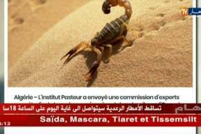 جولة في المواقع الإلكترونية: محكوم عليه بالمؤبد يفر من السجن الأبيض سيدي الشيخ في البيض