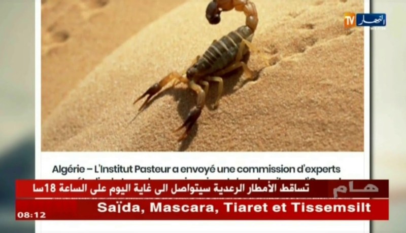 جولة في المواقع الإلكترونية: محكوم عليه بالمؤبد يفر من السجن الأبيض سيدي الشيخ في البيض