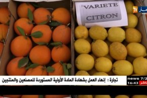 20 ألف دولار صادرات الحمضيّات..عندما تفضح الأرقام لغة الكلام !!