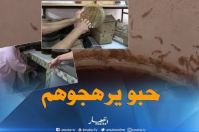 الطارف: الدود يغزو مراحيض إبتدائية العمري بن سعيد.. وصحون “يرهجو” بها التلاميذ