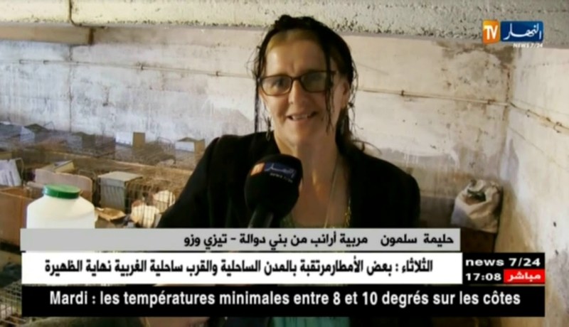 تيزي وزو: تربية الأرانب مشاريع إستثمارية ناجحة تنتظر الدعم