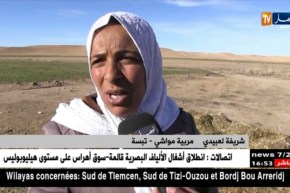 تبسة/ “شريفة”…إمرأة تحدّت الصعاب و جسّدت طموحها الفلاحي