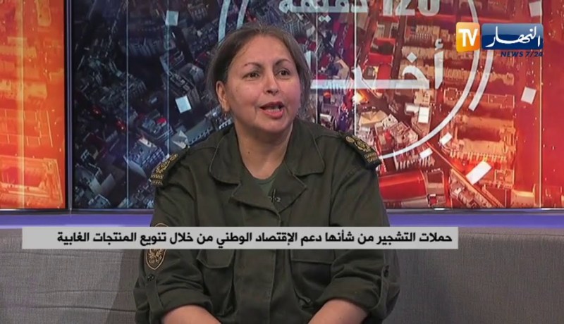 حملات التشجير من شأنها دعم الإقتصاد الوطني من خلال تنويع المنتجات الغابية