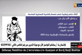 دفاع: ثلاثة عناصر إرهابية تسلم نفسها بالناحية العسكرية السادسة