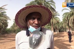 ورقلة : إنطلاق عملية مكافحة داء بوفروة