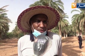 ورقلة : إنطلاق عملية مكافحة داء بوفروة