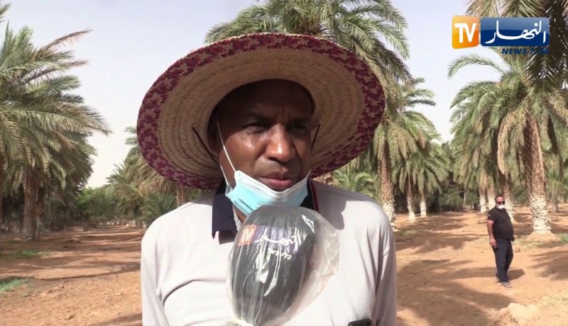 ورقلة : إنطلاق عملية مكافحة داء بوفروة